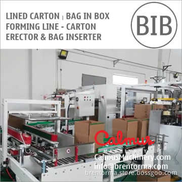 Lined Carton Bag in Box Forming Line - Carton Erector and Bag Inserter